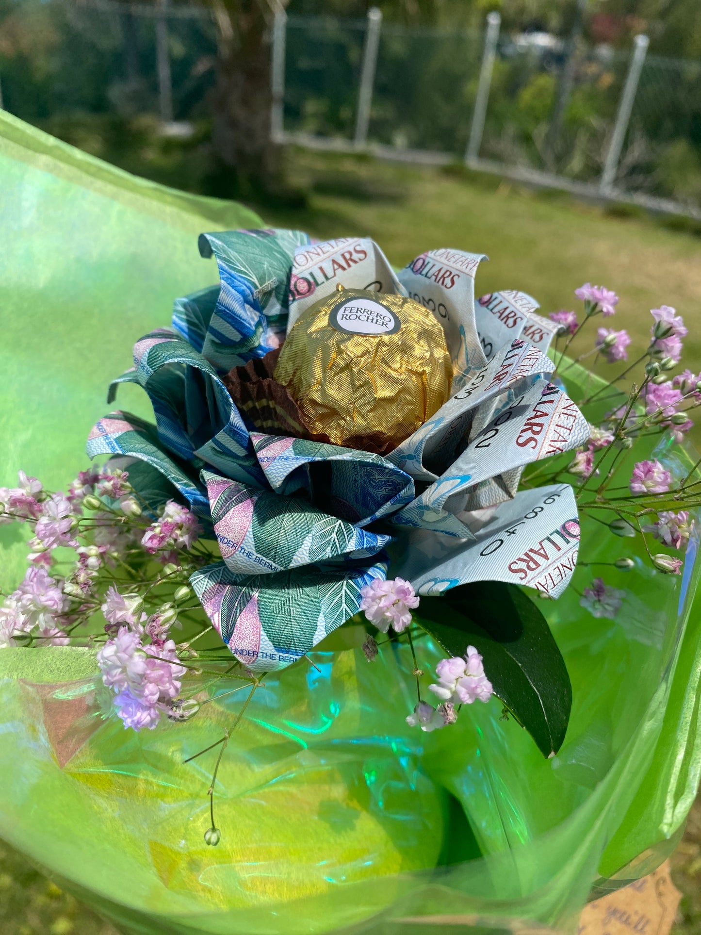 Single Money Rose